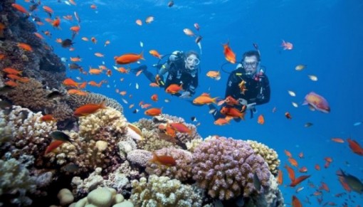 Tăng cường hiệu quả công tác quản lý khu bảo tồn biển Việt Nam