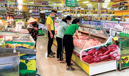 Chỉ số giá tiêu dùng tháng 10-2021 giảm 0,23%