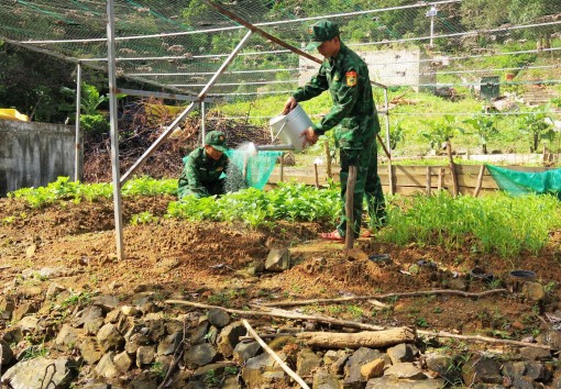 Tăng gia ở Đồn Biên phòng Hòn Chuối