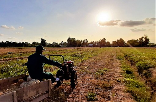 ĐBSCL cần khắc phục 3 thách thức lớn để phát triển bền vững