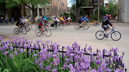 Tăng cường đi xe đạp để chống biến đổi khí hậu