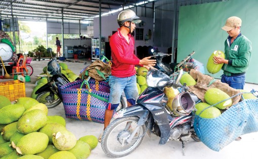 Trung Quốc không còn là thị trường nhập khẩu “dễ tính”