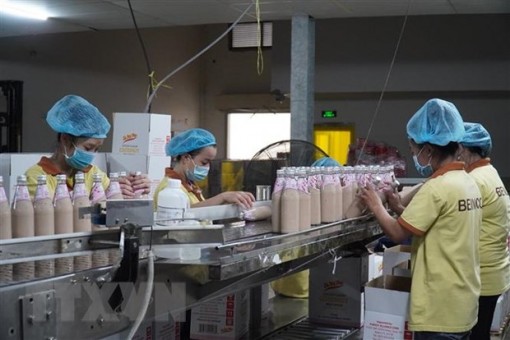 Bến Tre kiềm chế tốc độ gia tăng F0, không để đứt gãy trong sản xuất