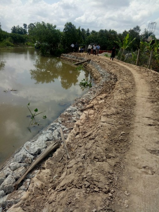 Vĩnh Long: Hỗ trợ gia cố, khắc phục nhiều điểm sạt lở bờ sông