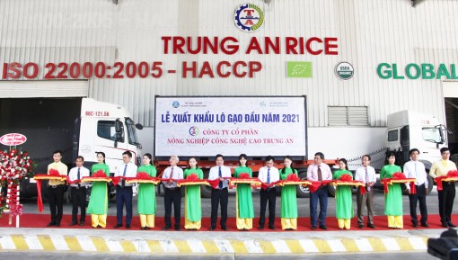 Doanh nghiệp tại TP Cần Thơ tiếp tục trúng thầu bán 15.000 tấn gạo cho Hàn Quốc