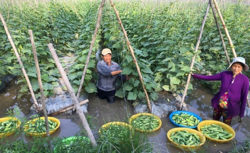 Vì mục tiêu giảm nghèo bền vững