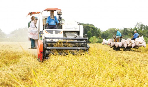 Kế thừa, phát huy thành quả xã nông thôn mới nâng cao