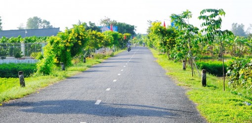 Kiến tạo môi trường nông thôn xanh - sạch - đẹp