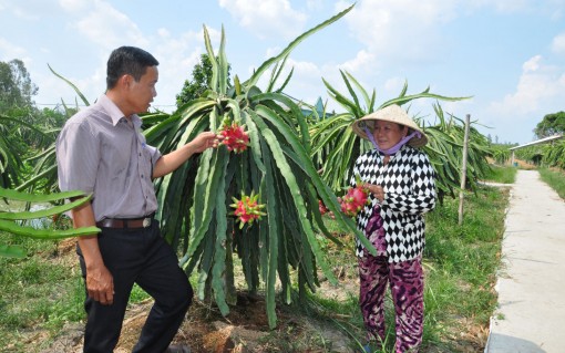 Chỉ đạo phát triển nông nghiệp bền vững