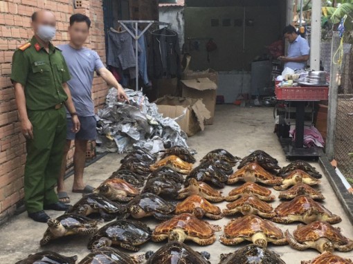 Xử lý hành vi mua bán động vật hoang dã trên mạng như thế nào?