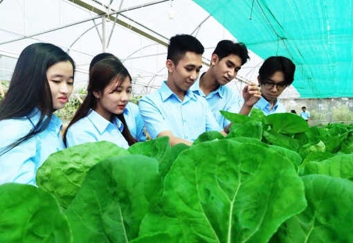 Không ngừng nâng cao chất lượng quản lý và đào tạo