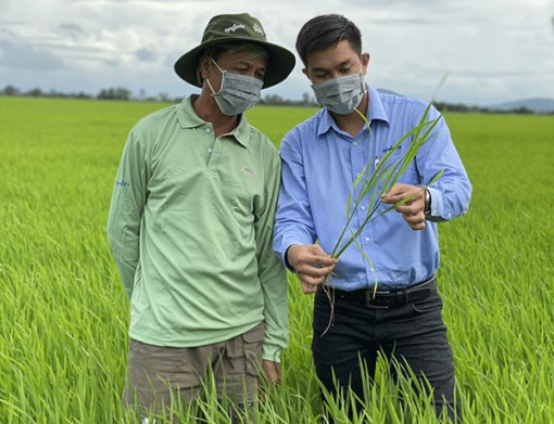 Syngenta Việt Nam được vinh danh là doanh nghiệp xuất sắc châu Á