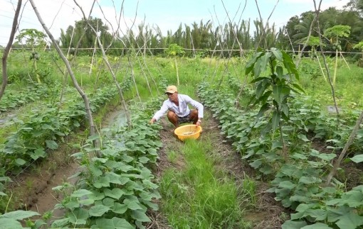Làm giàu từ mô hình kinh tế tổng hợp
