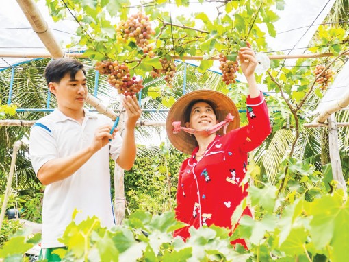 Cung cách xưng hô của người Nam Bộ