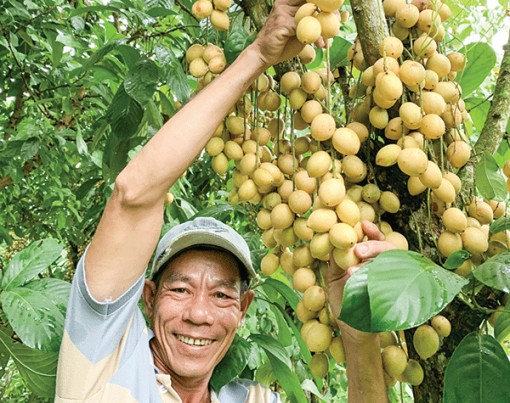 Muốn kết quả mới sao cứ làm theo kiểu cũ?