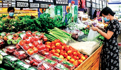 Giá cà chua tăng cao