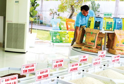 Tăng cường xuất khẩu sang thị trường châu Âu