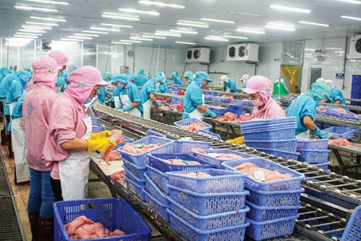 Xuất khẩu nông, lâm, thủy sản năm 2022 phấn đấu đạt 49 tỉ USD