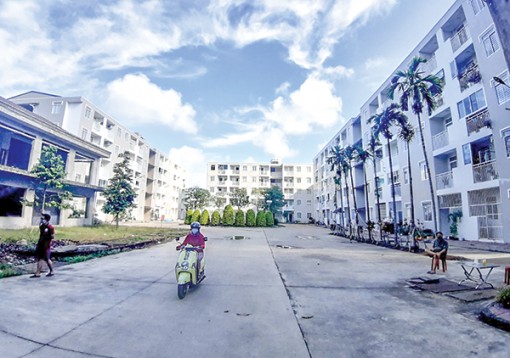Quản lý thông tin, thị trường bất động sản