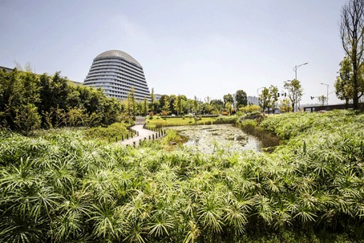 Thâm Quyến trước bài toán nan giải về nguồn nước