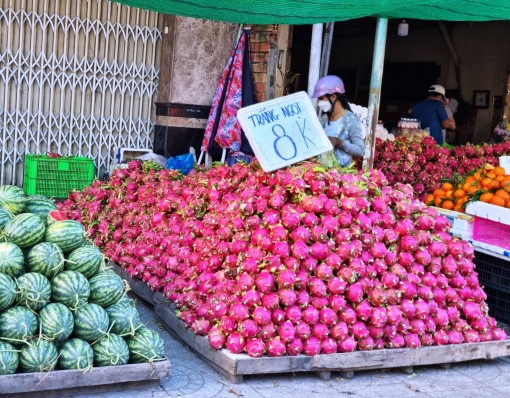 Gỡ khó đầu ra cho trái thanh long