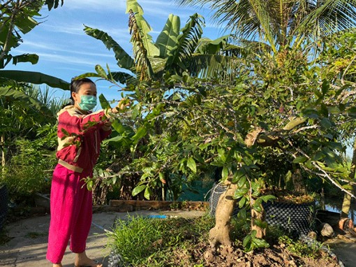 Cảnh giác tình trạng trộm cắp tài sản