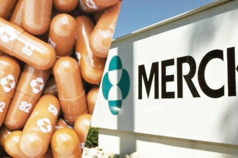Merck tuyên bố Molnupiravir có thể chống biến thể Omicron