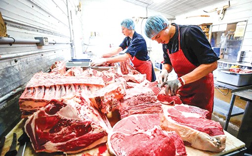 Trung Quốc, Hàn Quốc và Philippines ngừng nhập khẩu thịt bò Canada