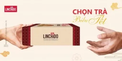 Chọn nấm Linh Chi làm quà tặng người thân dịp Tết