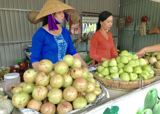 Trái cây chờ giá Tết!