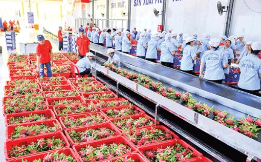 Logistics cho ngành chế biến nông, thủy sản