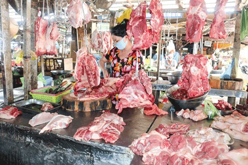 Giá heo hơi và thịt heo tăng