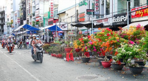 Phố phường vào Xuân