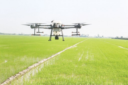 Thách thức và vận hội mới cho đất Chín rồng