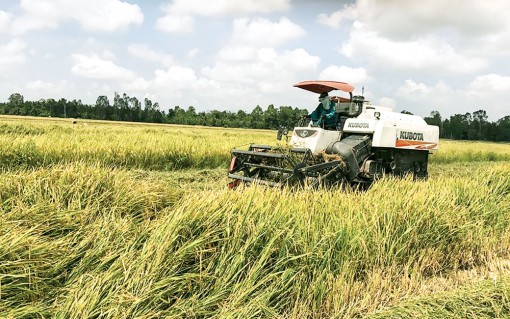 Những điểm sáng bức tranh nông thôn