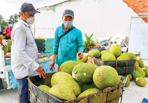 Để phát triển xuất khẩu bền vững