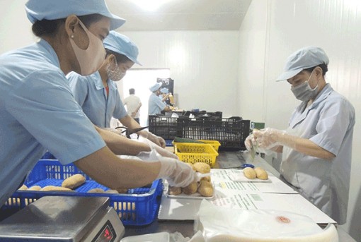 Sản xuất công nghiệp tiếp tục khởi sắc