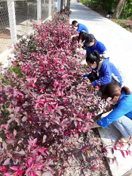 Đoàn thanh niên tham gia bảo đảm an toàn giao thông