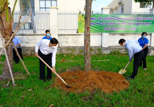 TP Cần Thơ: Phát động “Tết trồng cây đời đời nhớ ơn Bác Hồ” nhân dịp Xuân Nhâm Dần