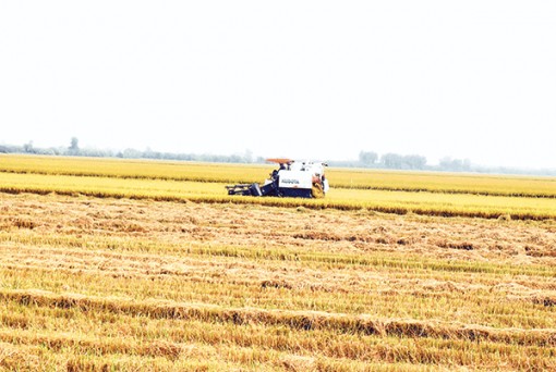 Bước chuyển trợ lực hợp tác xã