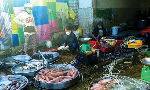 Nguồn cung hạn chế, thủy sản đánh bắt tự nhiên có giá bán cao