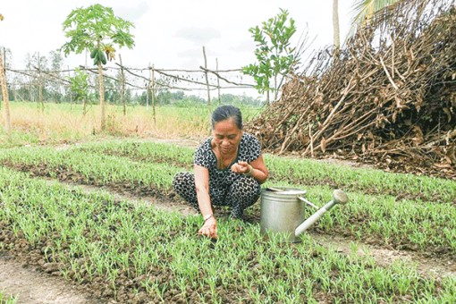 Gắn bó, sẻ chia khó khăn với hội viên