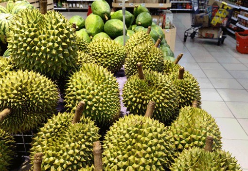 Giá sầu riêng tăng mạnh