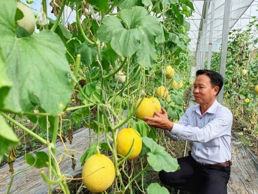 Phê duyệt Đề án “Phát triển du lịch nông nghiệp trên địa bàn thành phố Cần Thơ giai đoạn 2021-2025, tầm nhìn đến năm 2030”