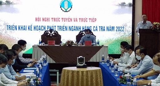 Triển khai nhiệm vụ phát triển ngành cá tra năm 2022