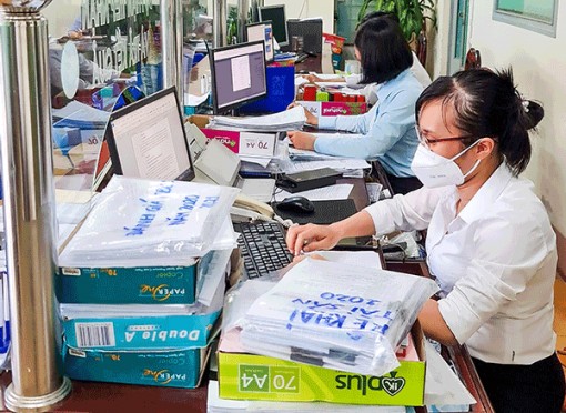 Nhiều hoạt động tình nguyện vì cộng đồng trong Tháng Thanh niên