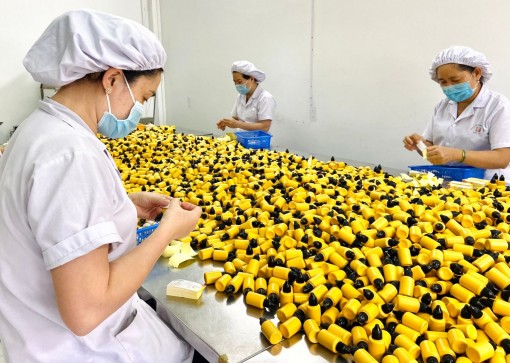 Hỗ trợ phát triển doanh nghiệp nhỏ và vừa nâng cao năng lực cạnh tranh