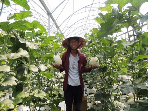 Xây nền tảng đưa "tam nông" bứt phá