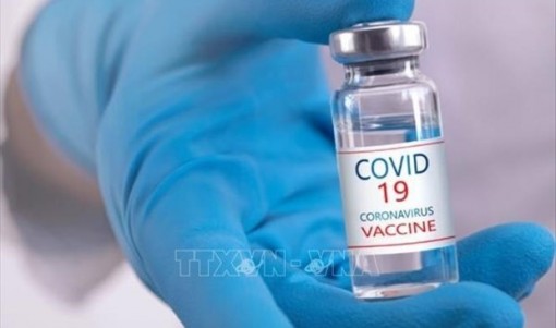 7 million doses of COVID-19 vaccines for children to arrive in Vietnam this month: health official