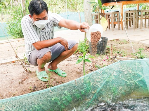 “Vua xiếc cá” cồn Sơn